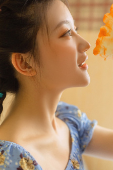 与凤行在线观看